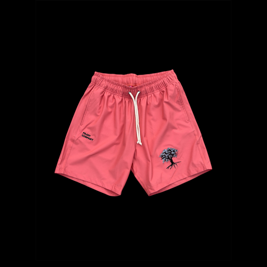 FEJAH FAITH Men’s Hybrid Short